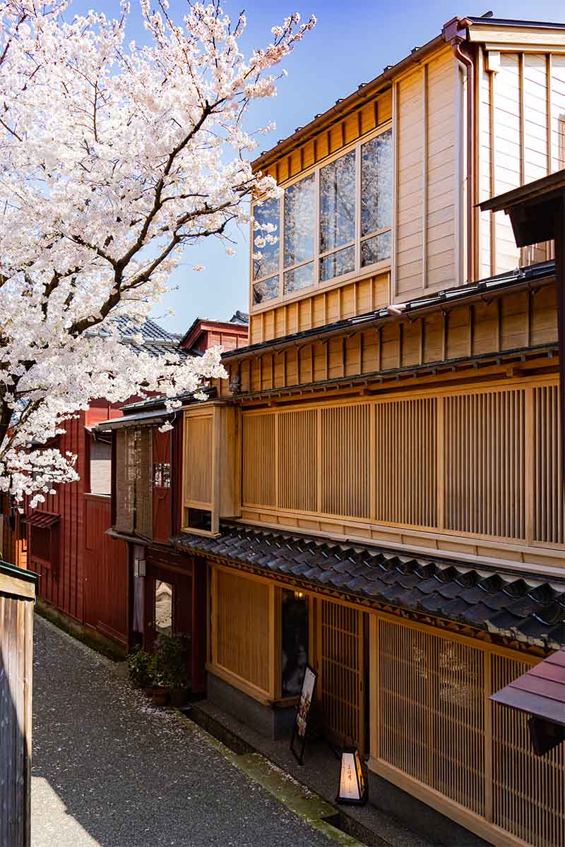 お店正面、桜の季節